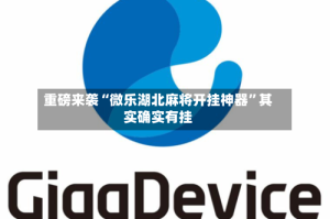 重磅来袭“微乐湖北麻将开挂神器”其实确实有挂