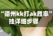 实测分享“德州kk打ak胜率”分享装挂详细步骤