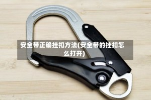 安全带正确挂扣方法(安全带的挂扣怎么打开)