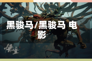 黑骏马/黑骏马 电影