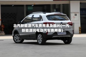 北汽新能源汽车费用表及图片(一汽新能源纯电动汽车费用表)