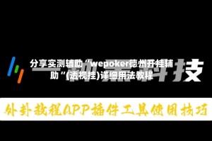 分享实测辅助“wepoker德州开挂辅助“(透视挂)详细用法教程