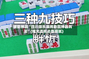 辅助神器“四川微乐麻将助赢神器购买”(曝光透视必备猫腻)