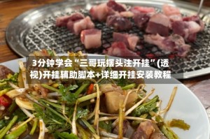 3分钟学会“三哥玩摆头注开挂”(透视)开挂辅助脚本+详细开挂安装教程