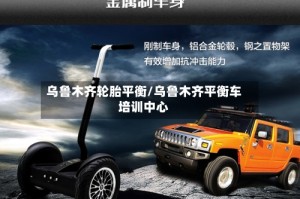乌鲁木齐轮胎平衡/乌鲁木齐平衡车培训中心