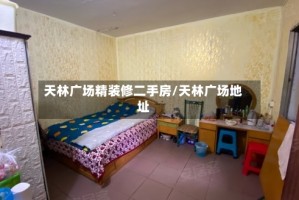 天林广场精装修二手房/天林广场地址