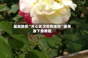 最新教你“开心武汉花有挂吗”通用版下载教程