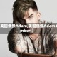【美国偶像Adam,美国偶像Adam Lambert】