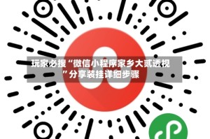 玩家必搜“微信小程序家乡大贰透视”分享装挂详细步骤