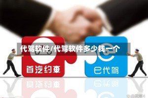 代驾软件/代驾软件多少钱一个