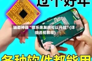 辅助神器“微乐亲友房可以开挂”(详细透视教程)