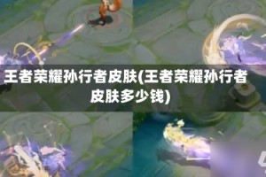 王者荣耀孙行者皮肤(王者荣耀孙行者皮肤多少钱)