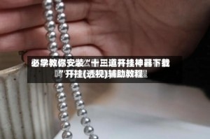 必学教你安装“十三道开挂神器下载”开挂(透视)辅助教程