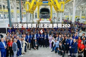 比亚迪费用/比亚迪费用2026