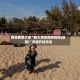 我来教教大家“新大海互娱有挂吗(透视)”详细开挂玩法