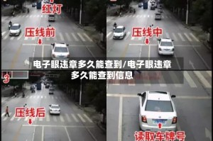电子眼违章多久能查到/电子眼违章多久能查到信息