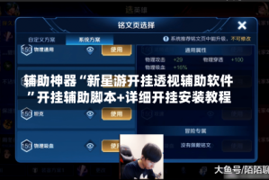 辅助神器“新星游开挂透视辅助软件”开挂辅助脚本+详细开挂安装教程