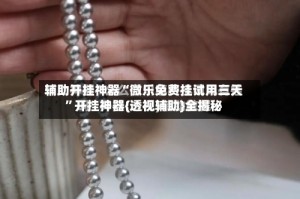 辅助开挂神器“微乐免费挂试用三天”开挂神器{透视辅助}全揭秘
