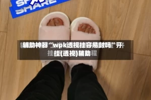 辅助神器“wpk透视挂容易封吗”开挂(透视)辅助