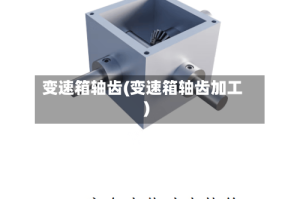 变速箱轴齿(变速箱轴齿加工)