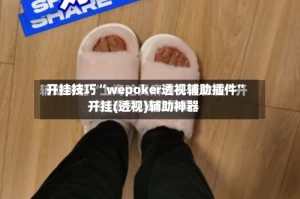 开挂技巧“wepoker透视辅助插件”开挂(透视)辅助神器