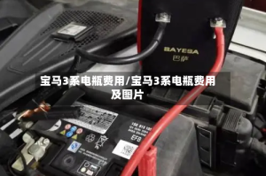 宝马3系电瓶费用/宝马3系电瓶费用及图片