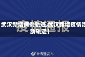 【武汉新增病例轨迹,武汉新增疫情活动轨迹】