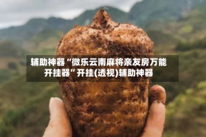 辅助神器“微乐云南麻将亲友房万能开挂器”开挂(透视)辅助神器