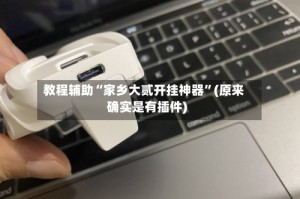 教程辅助“家乡大贰开挂神器”(原来确实是有插件)