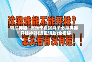 辅助神器“微乐宁夏捉麻子必赢神器”开挂神器{透视辅助}全揭秘