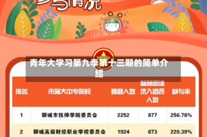 青年大学习第九季第十三期的简单介绍