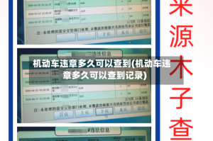机动车违章多久可以查到(机动车违章多久可以查到记录)