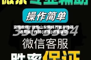 实操教程“微乐山东麻将万能开挂器通用版”作弊(透视)透视辅助