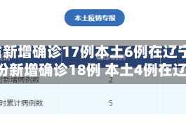 31省新增确诊17例本土6例在辽宁/31省份新增确诊18例 本土4例在辽宁