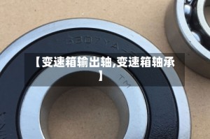 【变速箱输出轴,变速箱轴承】