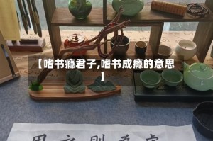 【嗜书瘾君子,嗜书成瘾的意思】