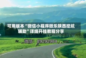可用版本“微信小程序微乐陕西挖坑辅助”详细开挂教程分享