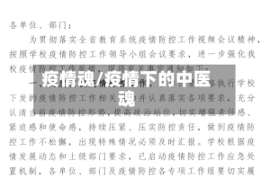 疫情魂/疫情下的中医魂