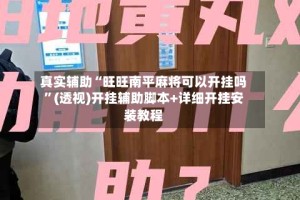 真实辅助“旺旺南平麻将可以开挂吗”(透视)开挂辅助脚本+详细开挂安装教程