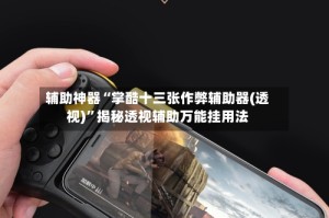 辅助神器“掌酷十三张作弊辅助器(透视)”揭秘透视辅助万能挂用法