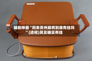 辅助神器“闲来贵州麻将到底有挂吗”(透视)其实确实有挂