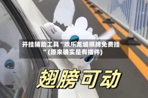 开挂辅助工具“欢乐龙城棋牌免费挂”(原来确实是有插件)