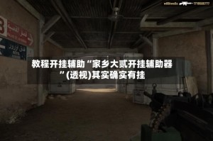 教程开挂辅助“家乡大贰开挂辅助器”(透视)其实确实有挂