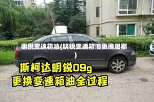 明锐变速箱油(明锐变速箱油更换周期)