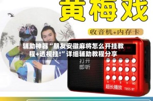 辅助神器“朋友安徽麻将怎么开挂教程+透视挂!”详细辅助教程分享