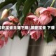 莲花宝鉴全集下载/莲花宝鉴 下载