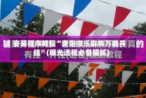 安装程序教程“贵阳微乐麻将万能开挂”(曝光透视必备猫腻)