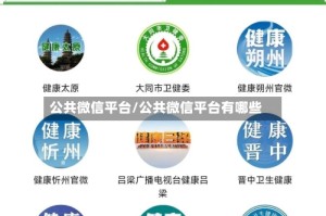公共微信平台/公共微信平台有哪些