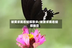 被要求戴着蝴蝶散步/被要求戴着蝴蝶睡觉