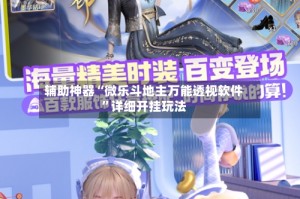 辅助神器“微乐斗地主万能透视软件”详细开挂玩法